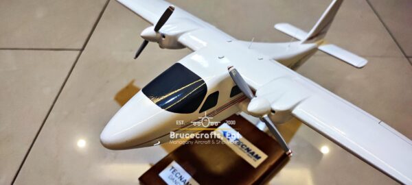 Tecnam 2006T EZ-MCC Aircraft with detailed craftsmanship.